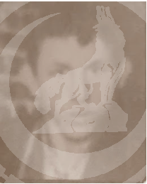 ŞAHİN  EKERBİÇER
