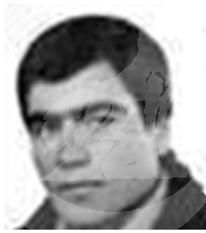 FİLO DENİZ