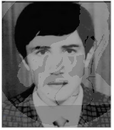 SAYGIN SÜMER