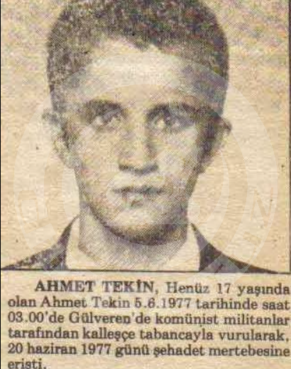 AHMET  TEKİN