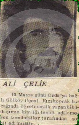 ALİ  ÇELİK