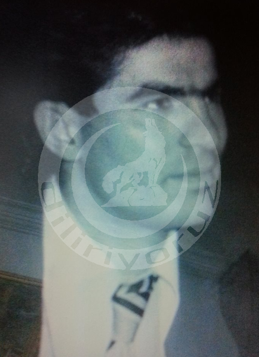 BEHMAN AYRIM