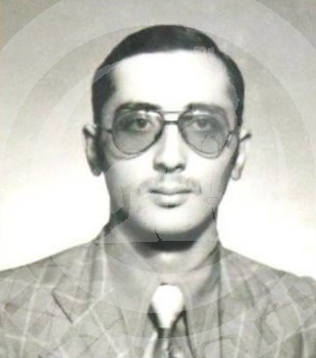 MESUT  YERGİN